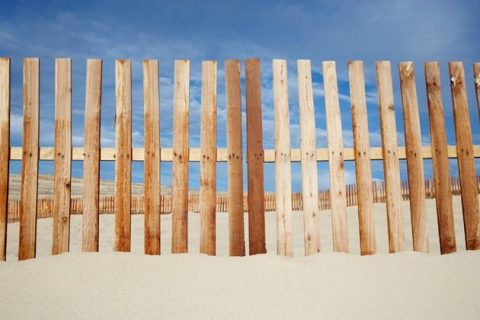 Timber fence in a residential backyard in Campbelltown, NSW